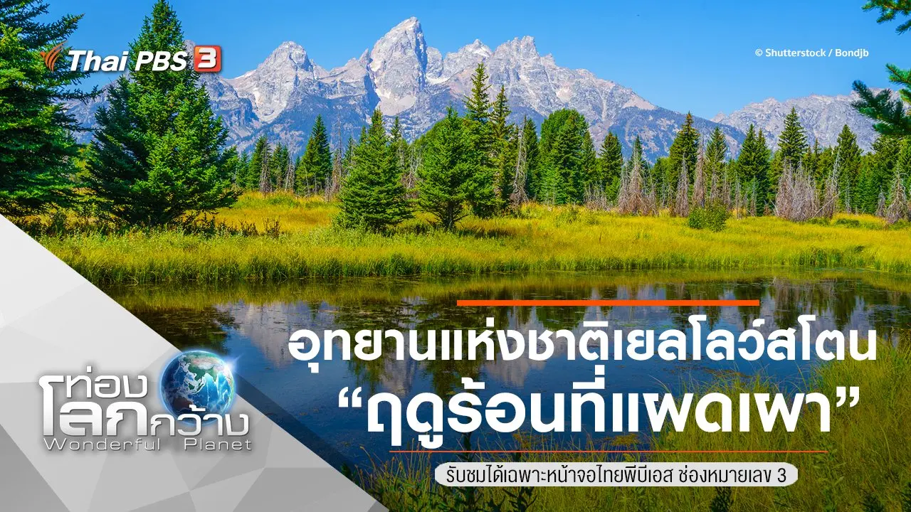 อุทยานแห่งชาติเยลโลว์สโตน ตอน ฤดูร้อนที่แผดเผา