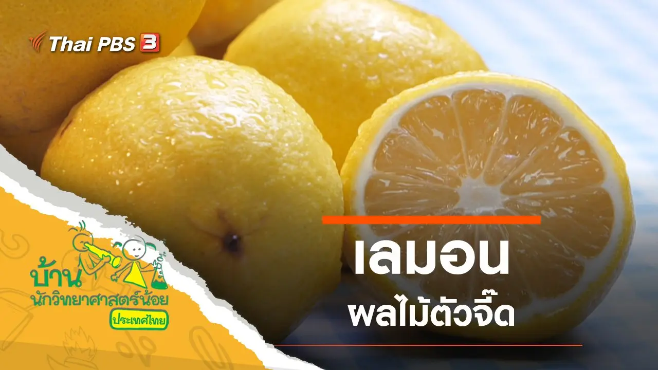 ผลไม้ตัวจี๊ด