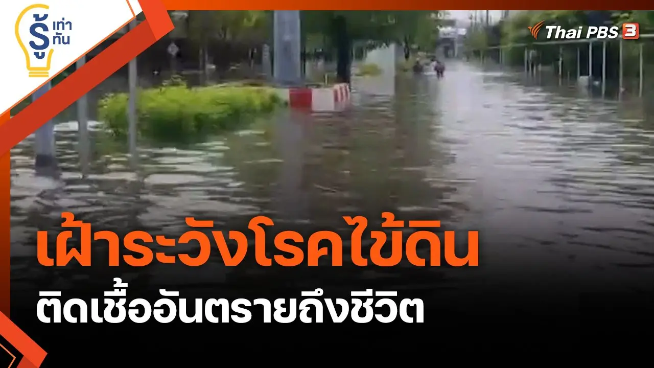 เฝ้าระวังโรคไข้ดิน...ติดเชื้ออันตรายถึงชีวิต