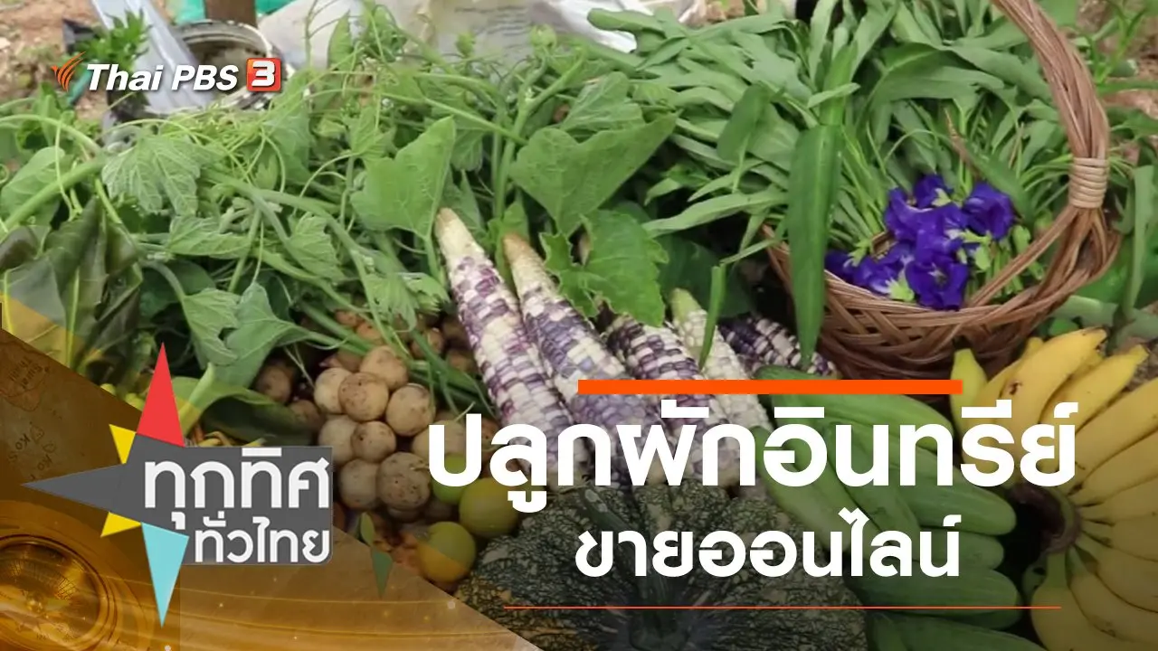 ปลูกผักอินทรีย์ขายออนไลน์