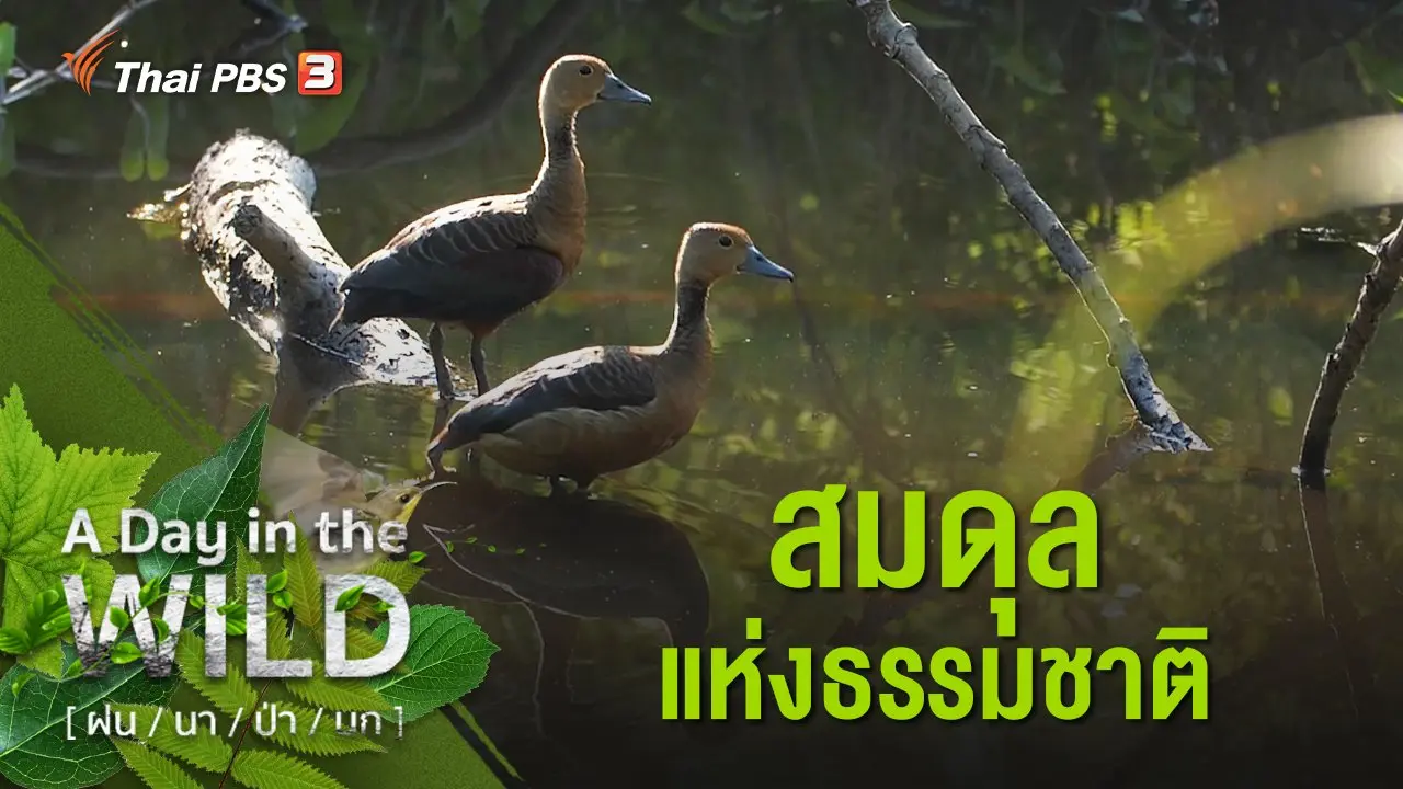 สมดุลแห่งธรรมชาติ