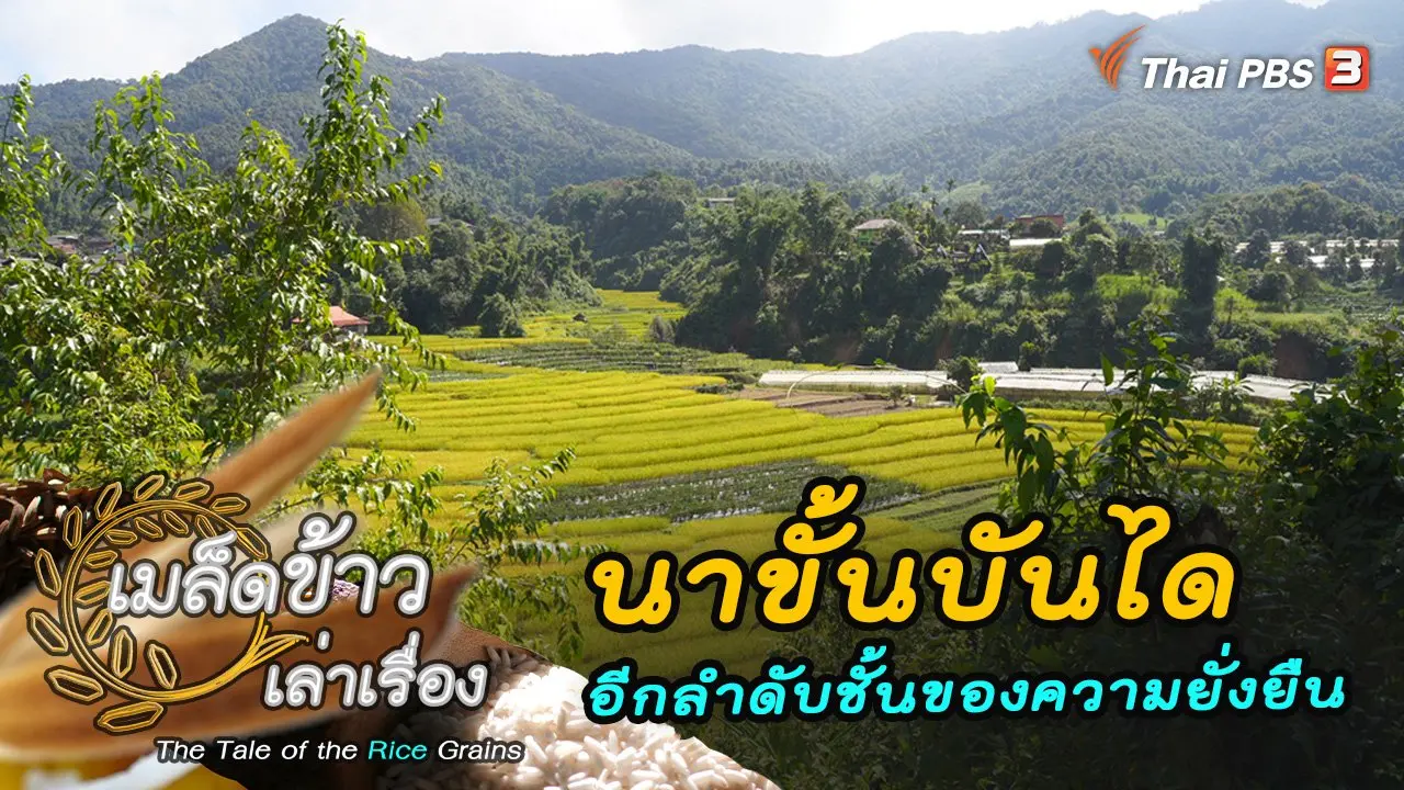 นาขั้นบันไดอีกลำดับชั้นของความยั่งยืน