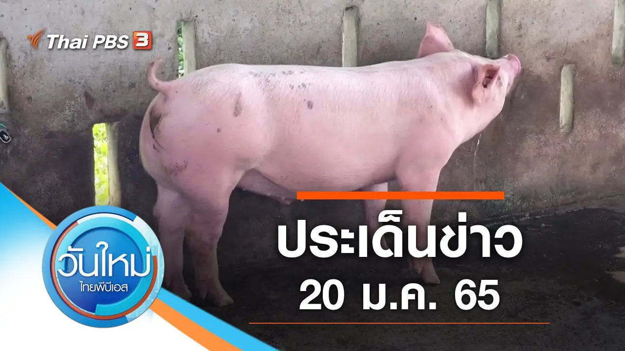 วันใหม่  ไทยพีบีเอส