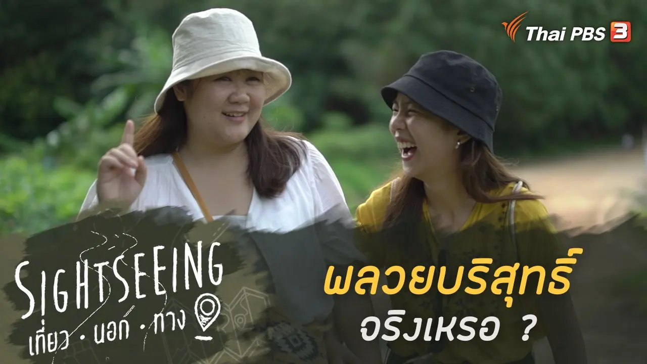 พลวยบริสุทธิ์จริงเหรอ ?