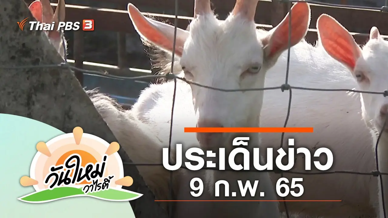 ประเด็นข่าว (9 ก.พ. 65)