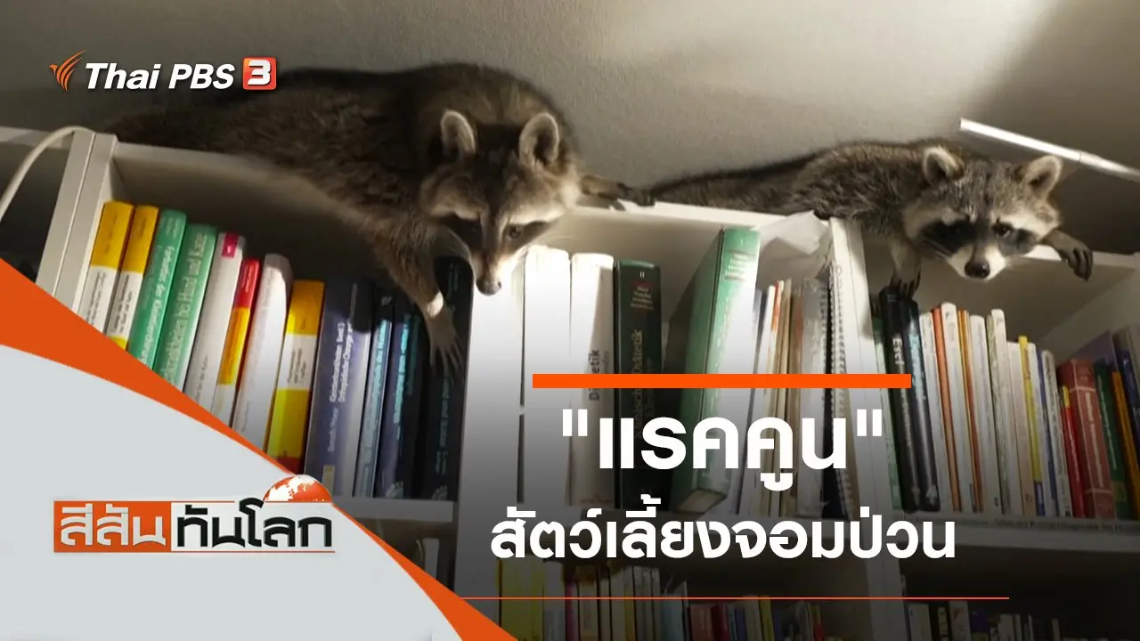 ประเด็นข่าว (12 ก.พ. 65)