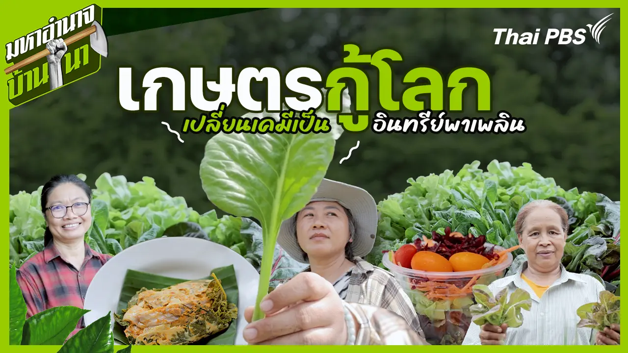 เกษตรกู้โลก เปลี่ยนเคมีเป็นอินทรีย์พาเพลิน