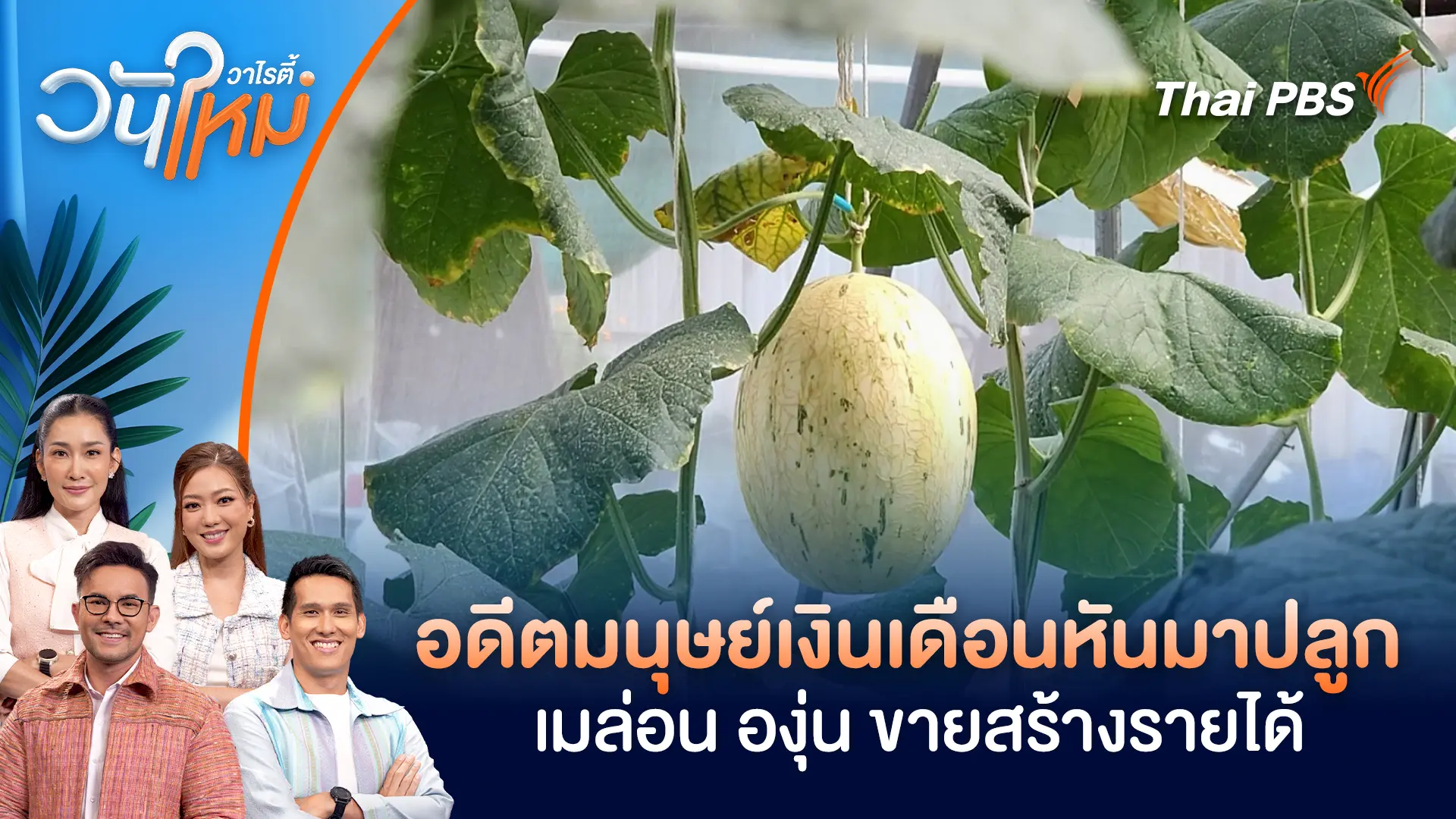 อดีตมนุษย์เงินเดือนหันมาปลูกเมล่อน องุ่น ขายสร้างรายได้ จ.ราชบุรี | วันใหม่วาไรตี้ | 15 ต.ค. 68