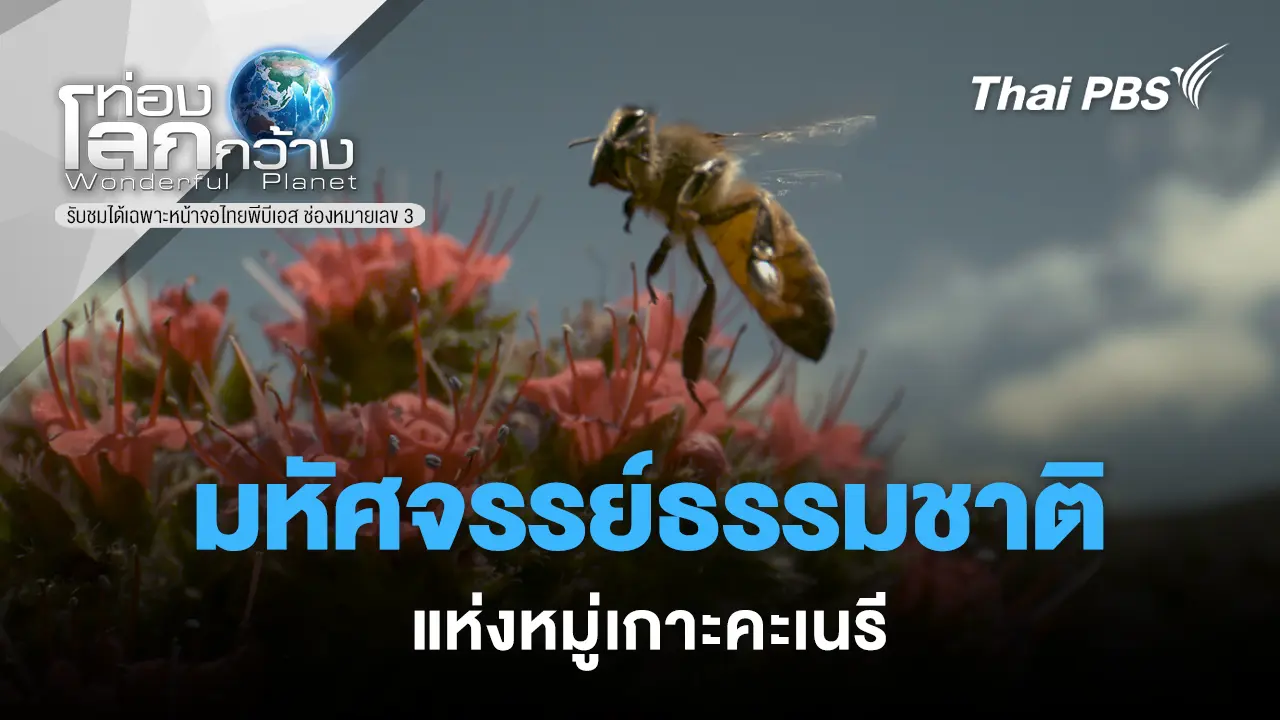 มหัศจรรย์ธรรมชาติแห่งหมู่เกาะคะเนรี