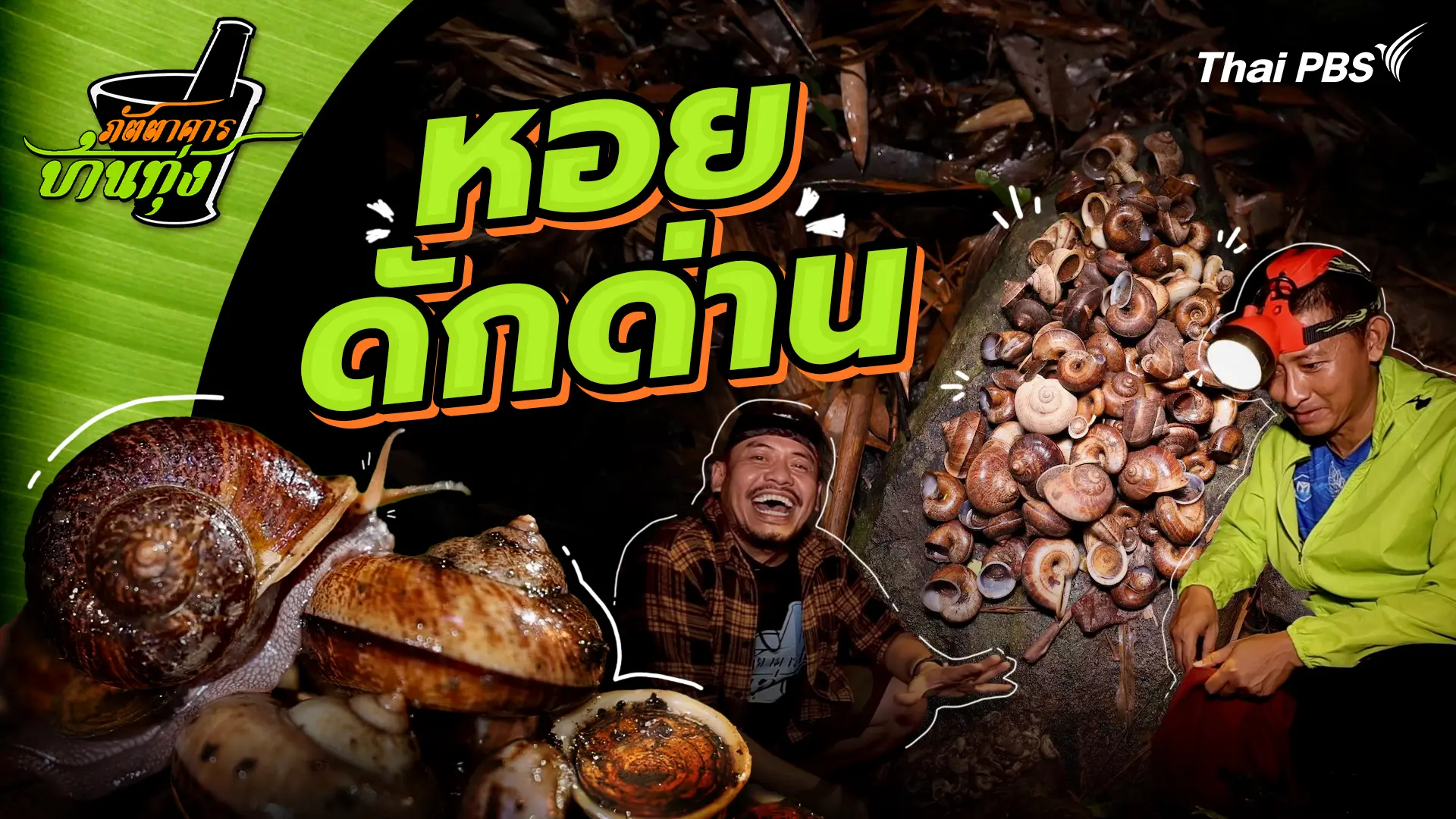หอยดักด่าน