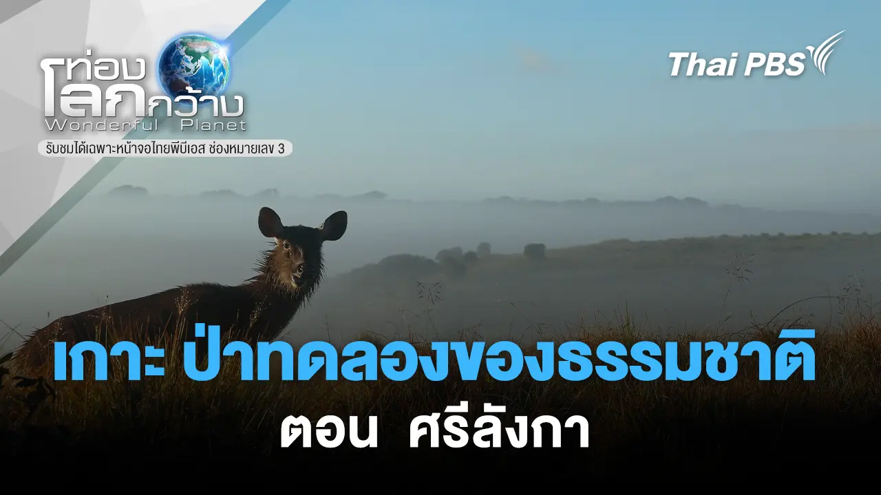 เกาะ ป่าทดลองของธรรมชาติ ตอน ศรีลังกา