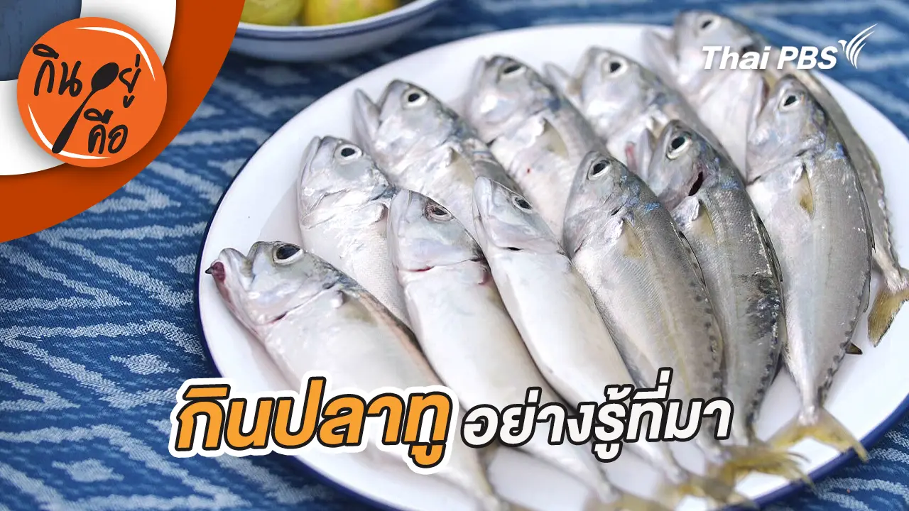 กินปลาทูอย่างรู้ที่มา