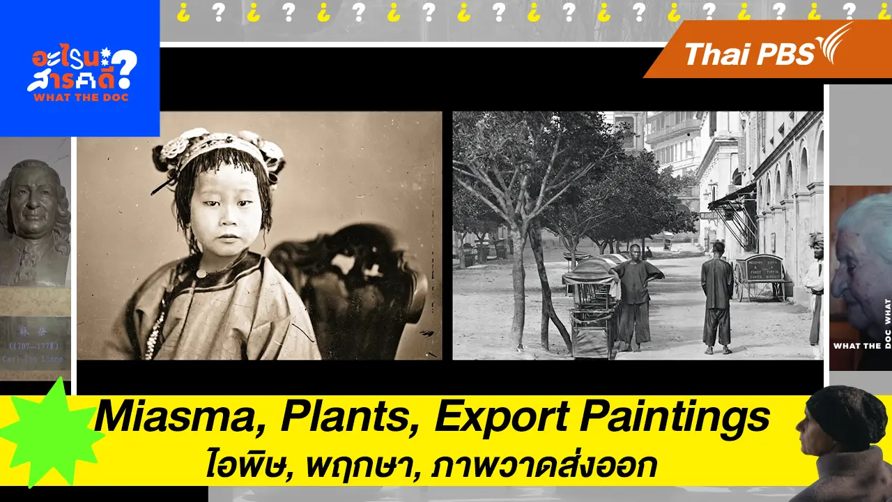Miasma, Plants, Export Paintings  ไอพิษ, พฤกษา, ภาพวาดส่งออก