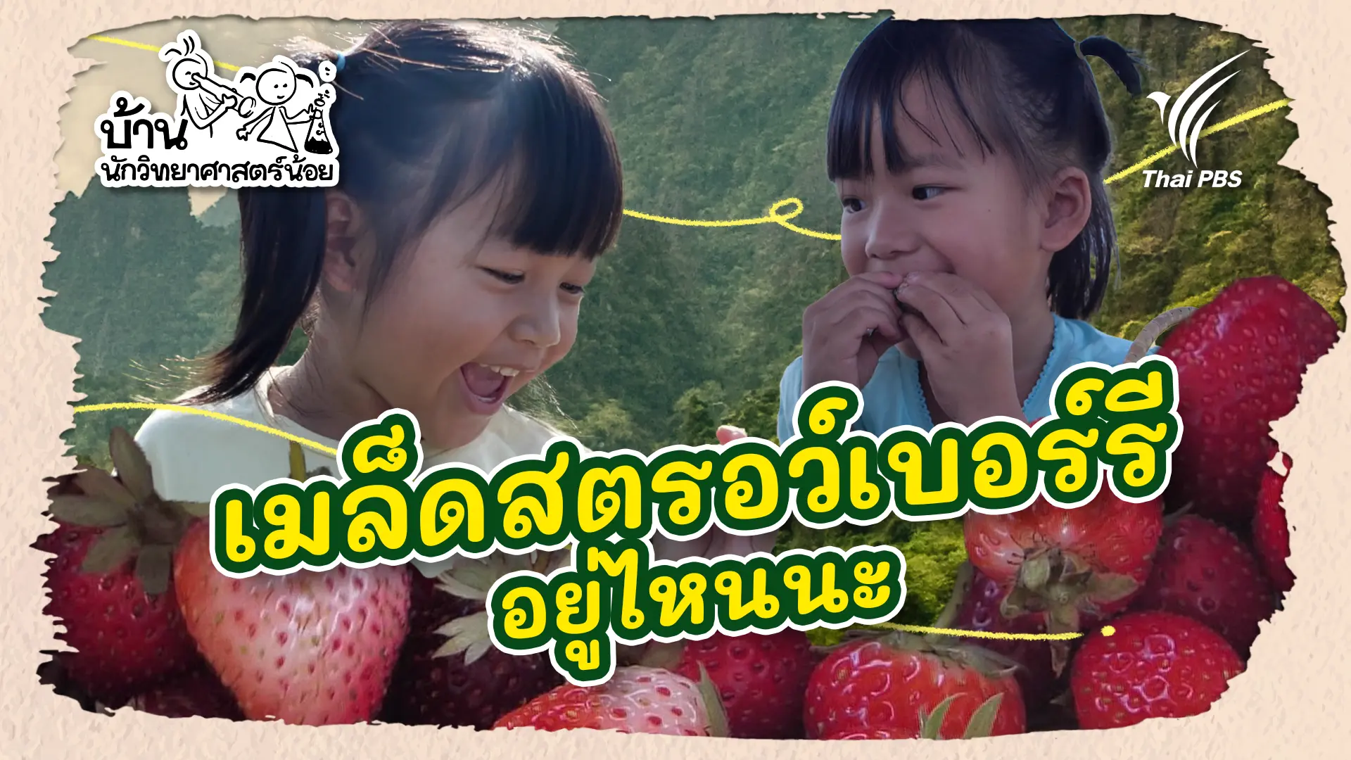 เมล็ดสตรอว์เบอร์รีอยู่ไหนนะ