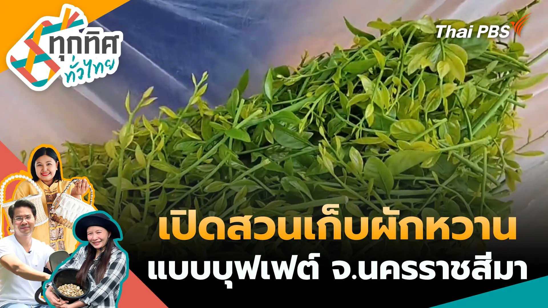 เปิดสวนเก็บผักหวานแบบบุฟเฟต์ จ.นครราชสีมา