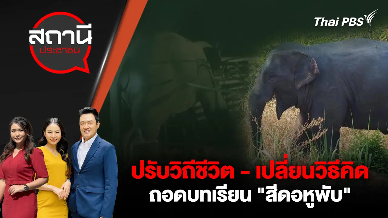 ปรับวิถีชีวิต - เปลี่ยนวิธีคิด ถอดบทเรียน "สีดอหูพับ"