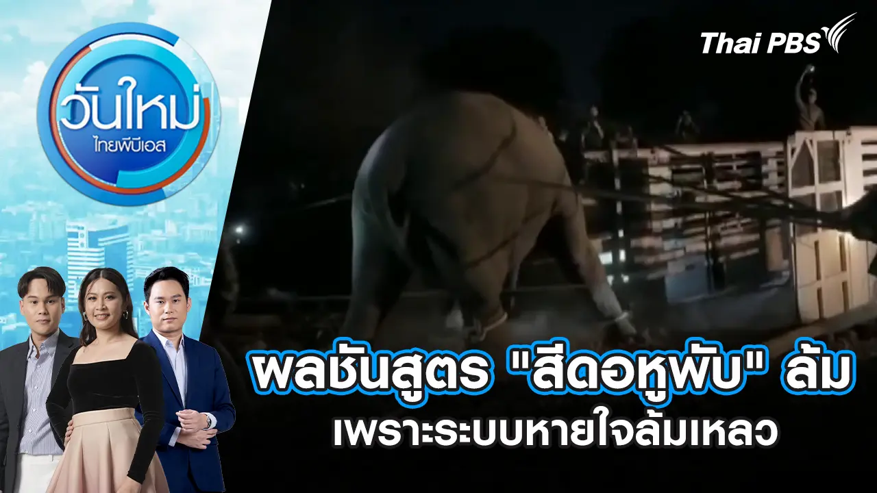 ผลชันสูตร "สีดอหูพับ" ล้มเพราะระบบหายใจล้มเหลว | 10 มี.ค. 69