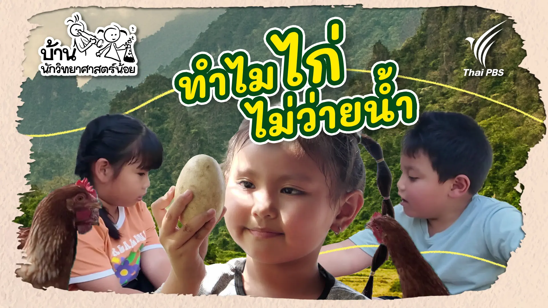 ทำไมไก่ไม่ว่ายน้ำ