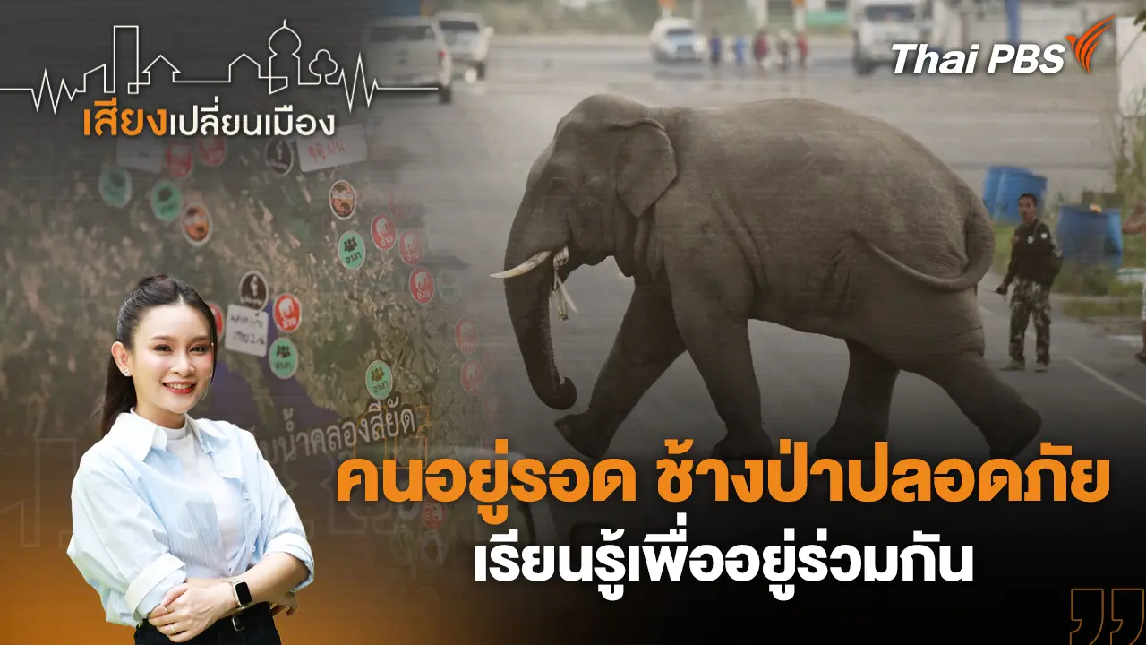 คนอยู่รอด ช้างป่าปลอดภัย เรียนรู้เพื่ออยู่ร่วมกัน