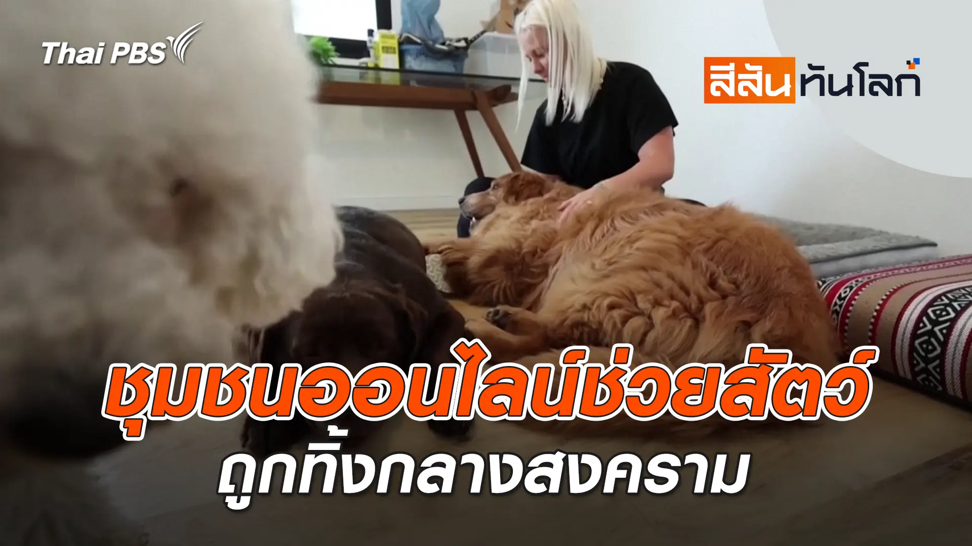 ชุมชนออนไลน์ช่วยสัตว์ถูกทิ้งกลางสงคราม | 15 มี.ค. 69