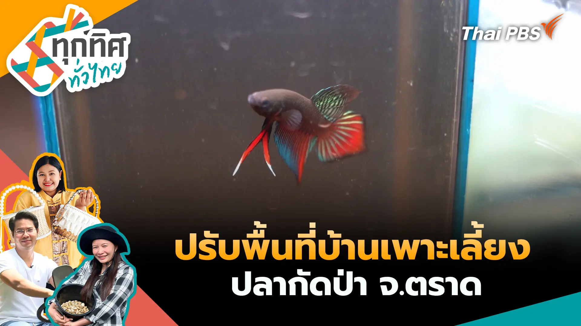 ปรับพื้นที่บ้านเพาะเลี้ยงปลากัดป่า จ.ตราด