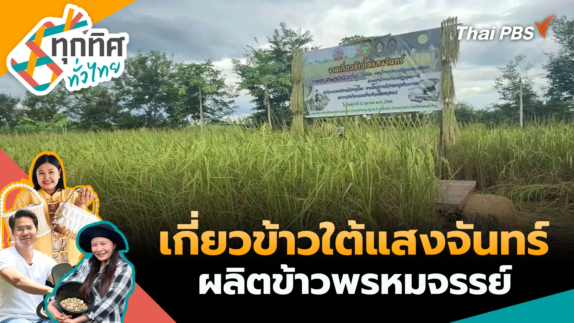 เกี่ยวข้าวใต้แสงจันทร์ผลิตข้าวพรหมจรรย์
