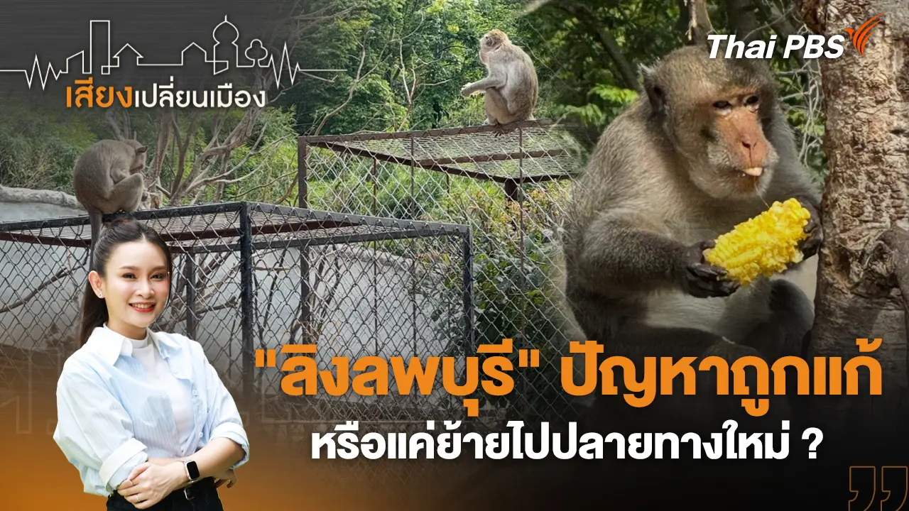 "ลิงลพบุรี" ปัญหาถูกแก้ หรือแค่ย้ายไปปลายทางใหม่ ?