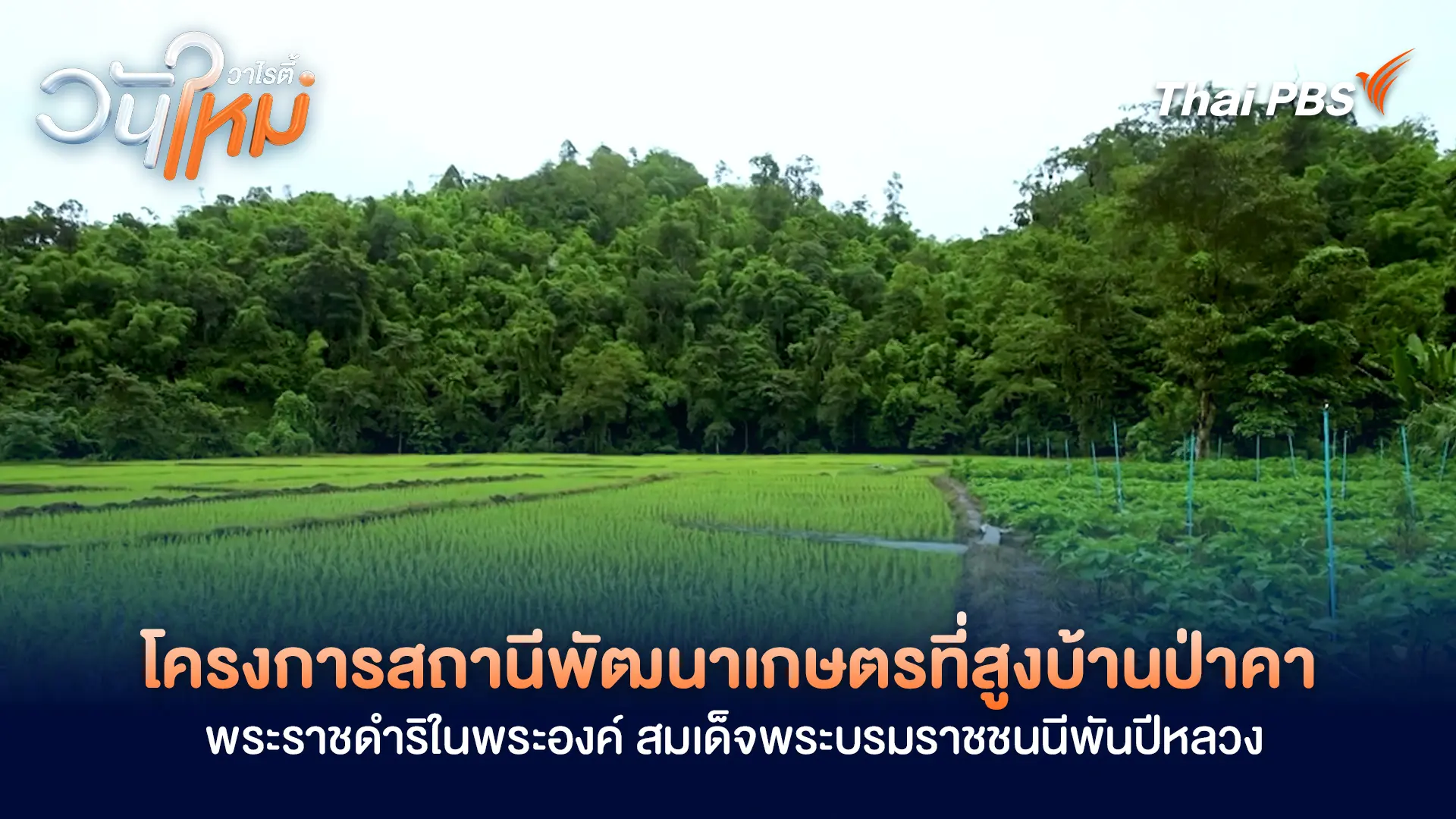 โครงการสถานีพัฒนาเกษตรที่สูงบ้านป่าคา พระราชดำริในพระองค์ สมเด็จพระบรมราชชนนีพันปีหลวง | วันใหม่วาไรตี้ | 27 ต.ค. 68