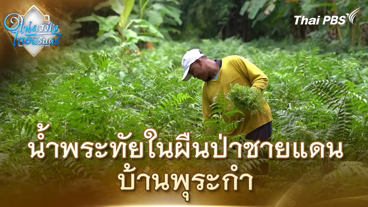 น้ำพระทัยในผืนป่าชายแดน บ้านพุระกำ | ในดวงใจไทยนิรันดร์ | 7 พ.ย. 68
