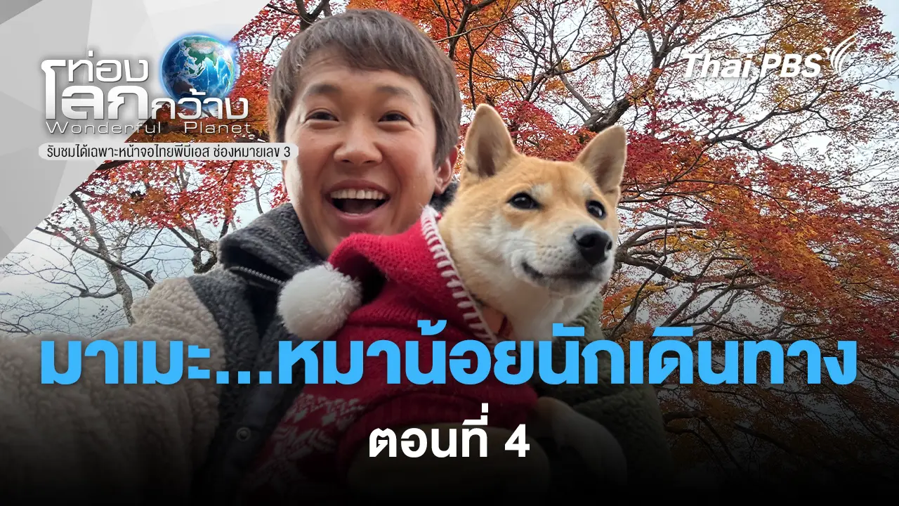 มาเมะ...หมาน้อยนักเดินทาง ตอนที่ 4
