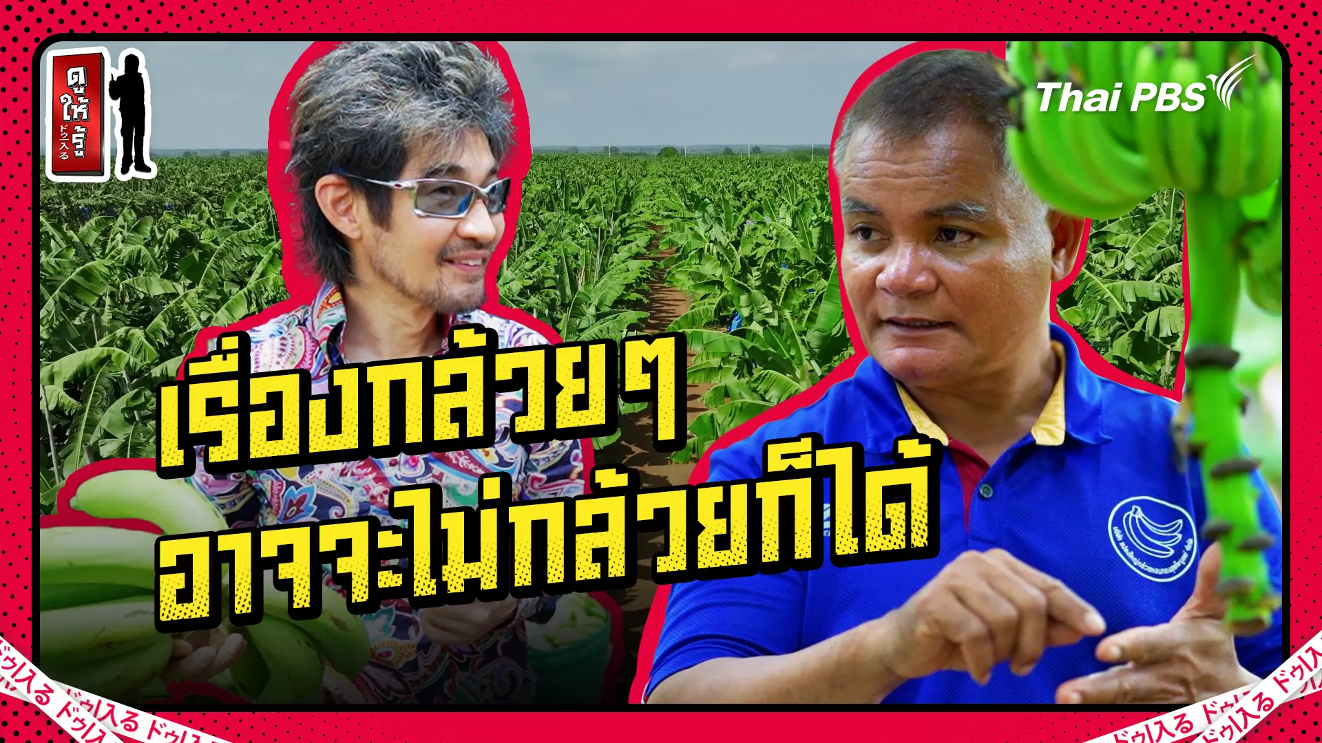 ส่งออกกล้วยไทยไปญี่ปุ่น ทำวันนี้รวยวันนี้