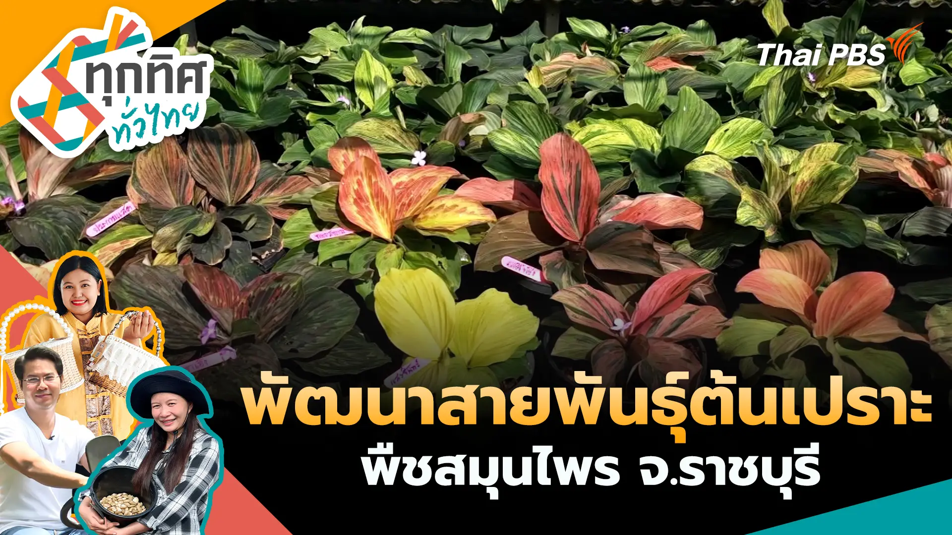 ทุกทิศทั่วไทย
