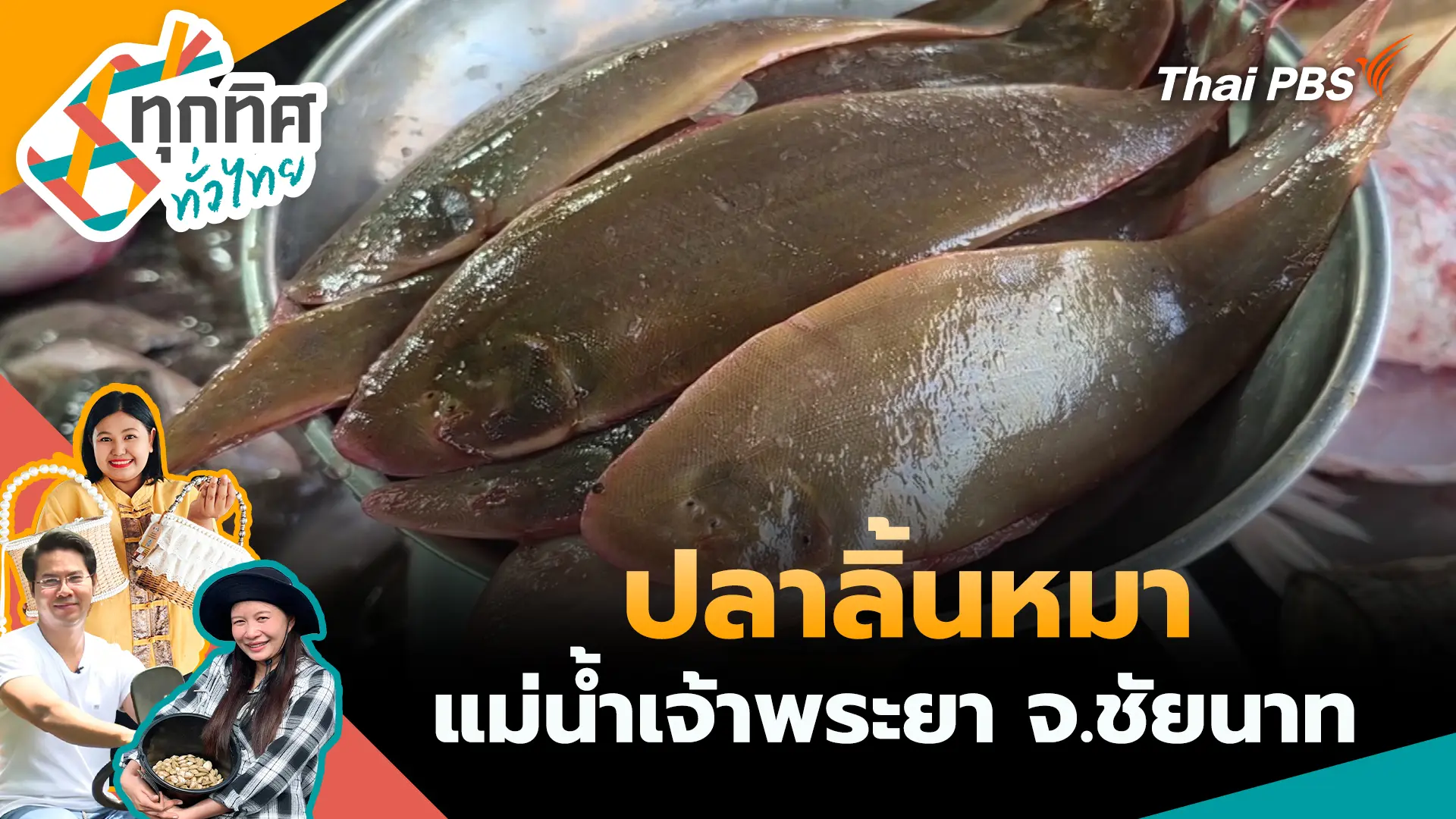 ปลาลิ้นหมาแม่น้ำเจ้าพระยา จ.ชัยนาท