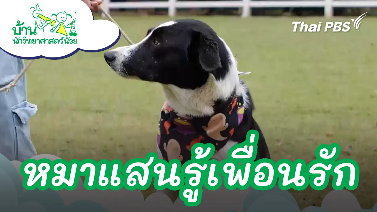 หมาแสนรู้เพื่อนรัก