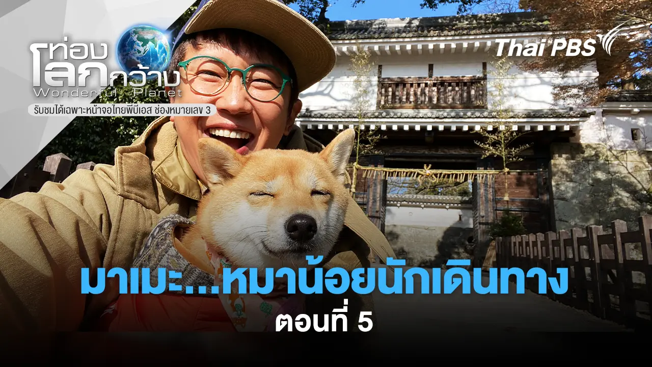 มาเมะ...หมาน้อยนักเดินทาง  Ep.5