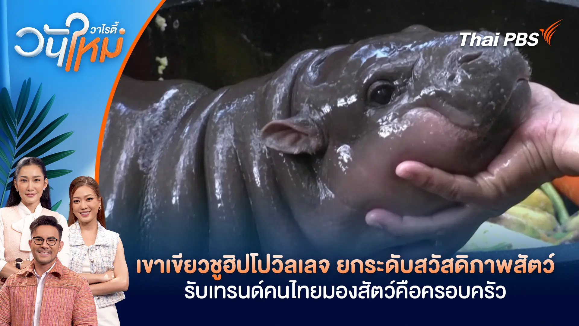 เขาเขียวชูฮิปโปวิลเลจ ยกระดับสวัสดิภาพสัตว์ รับเทรนด์คนไทยมองสัตว์คือครอบครัว | วันใหม่วาไรตี้ | 18 ก.พ. 69