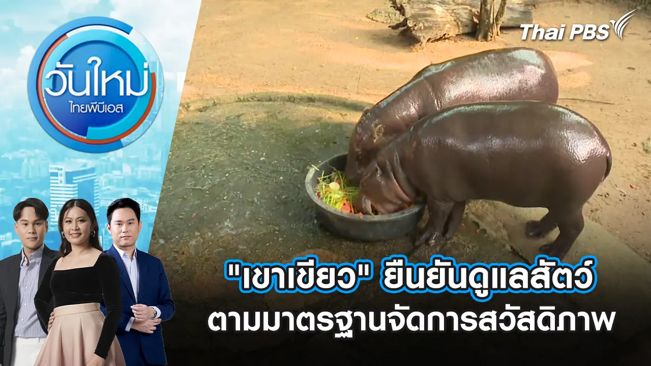 "เขาเขียว" ยืนยันดูแลสัตว์ตามมาตรฐานจัดการสวัสดิภาพ | 18 ก.พ. 69
