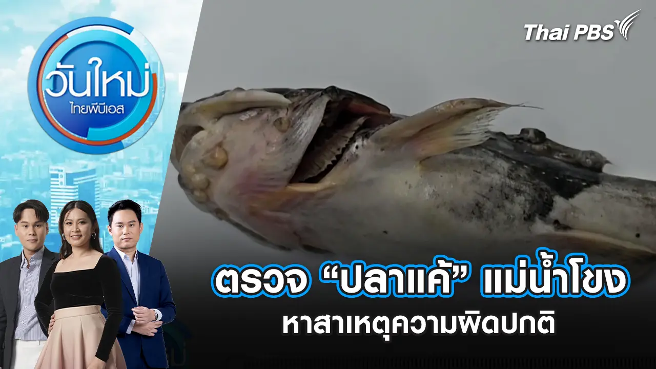 ตรวจ "ปลาแค้” แม่น้ำโขง หาสาเหตุความผิดปกติ
