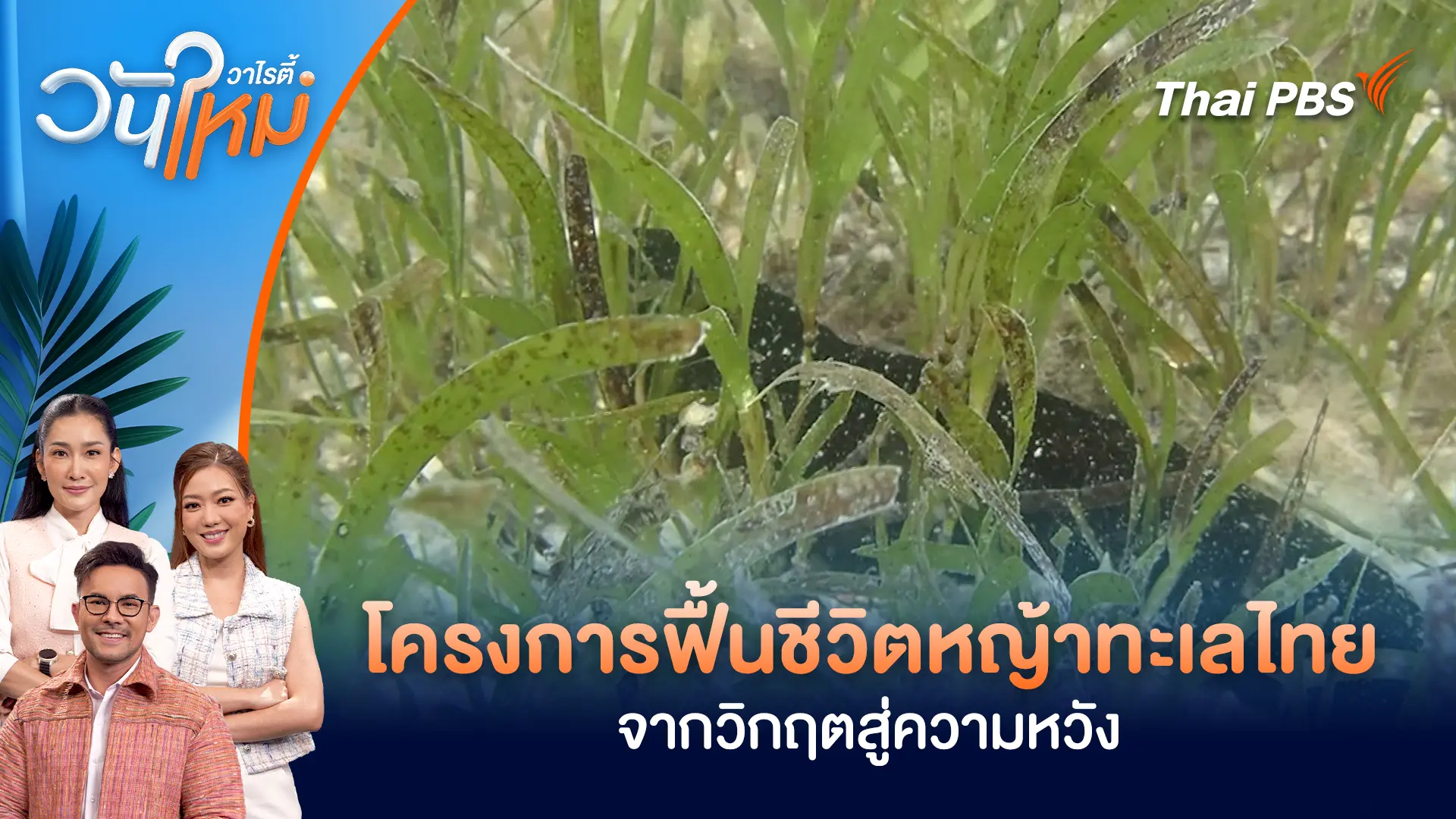 โครงการฟื้นชีวิตหญ้าทะเลไทยจากวิกฤตสู่ความหวัง