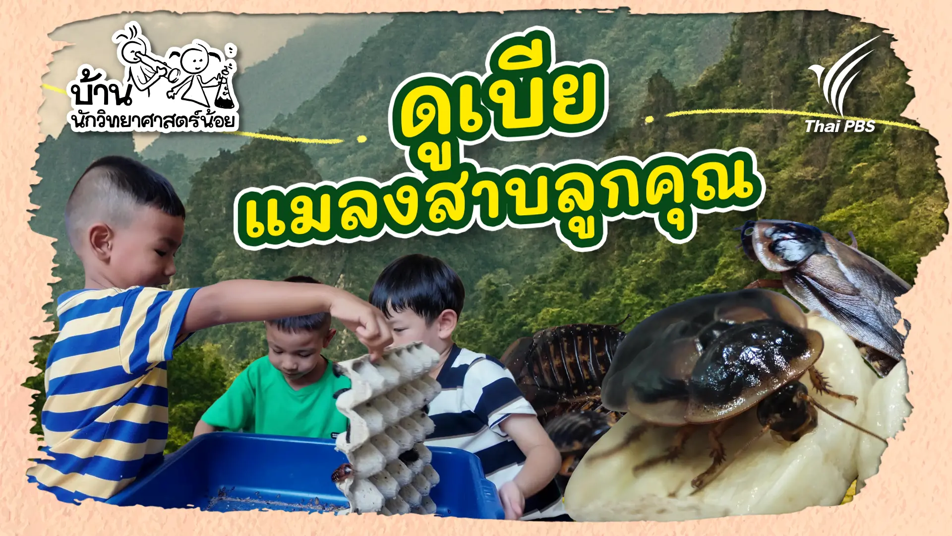 ดูเบีย แมลงสาบลูกคุณ