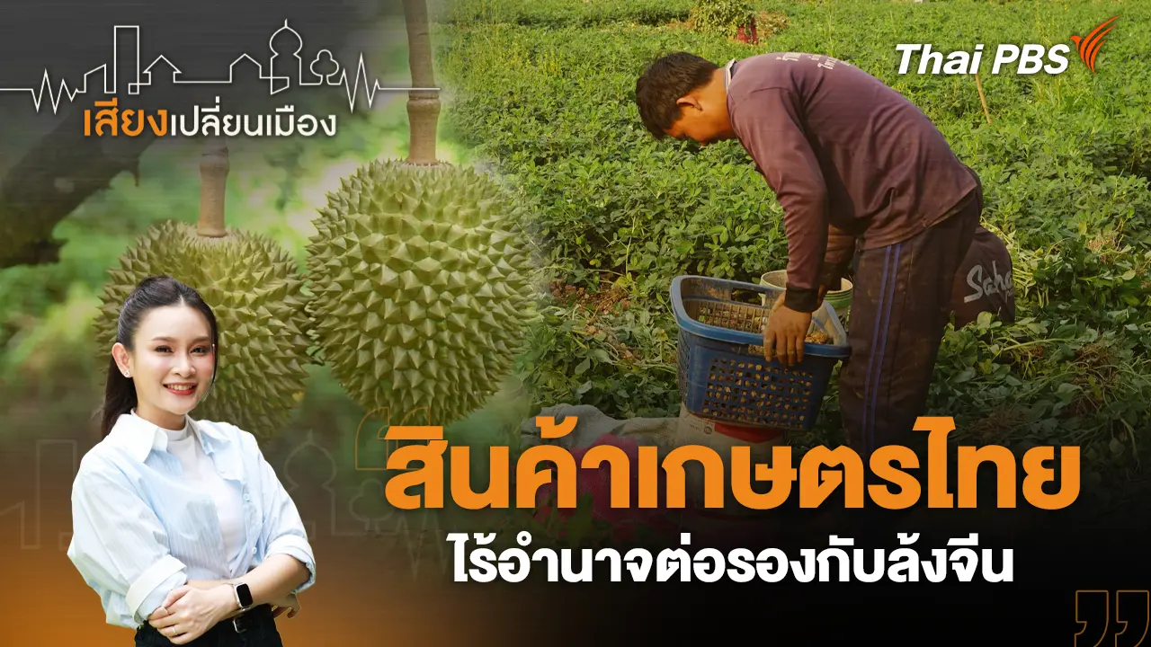 สินค้าเกษตรไทย ไร้อำนาจต่อรองกับล้งจีน