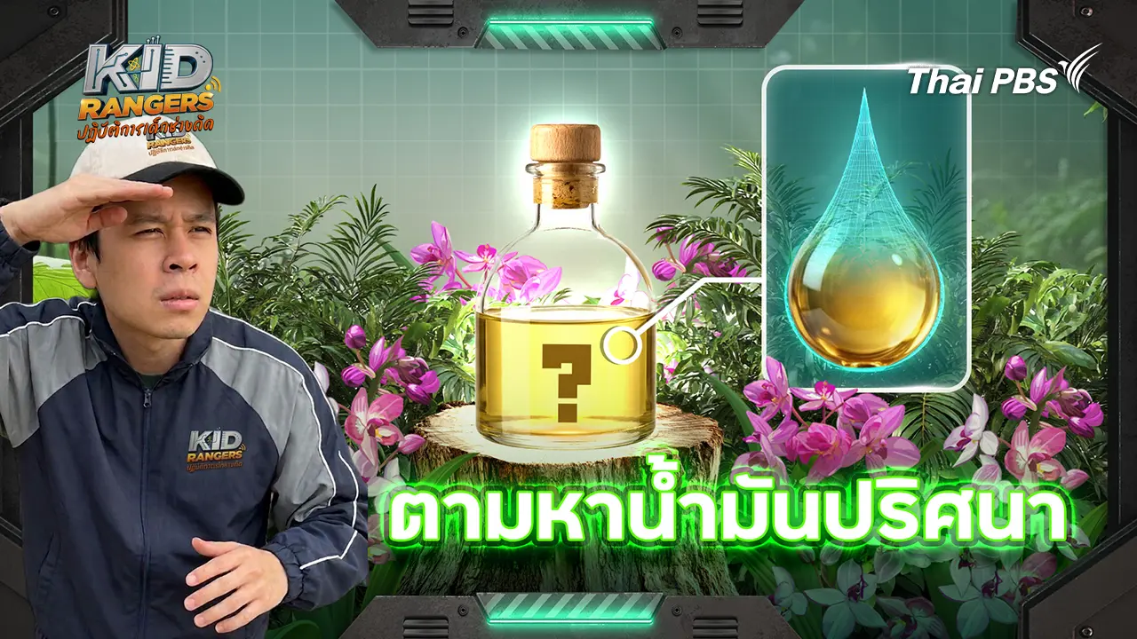 ตามหาน้ำมันปริศนา