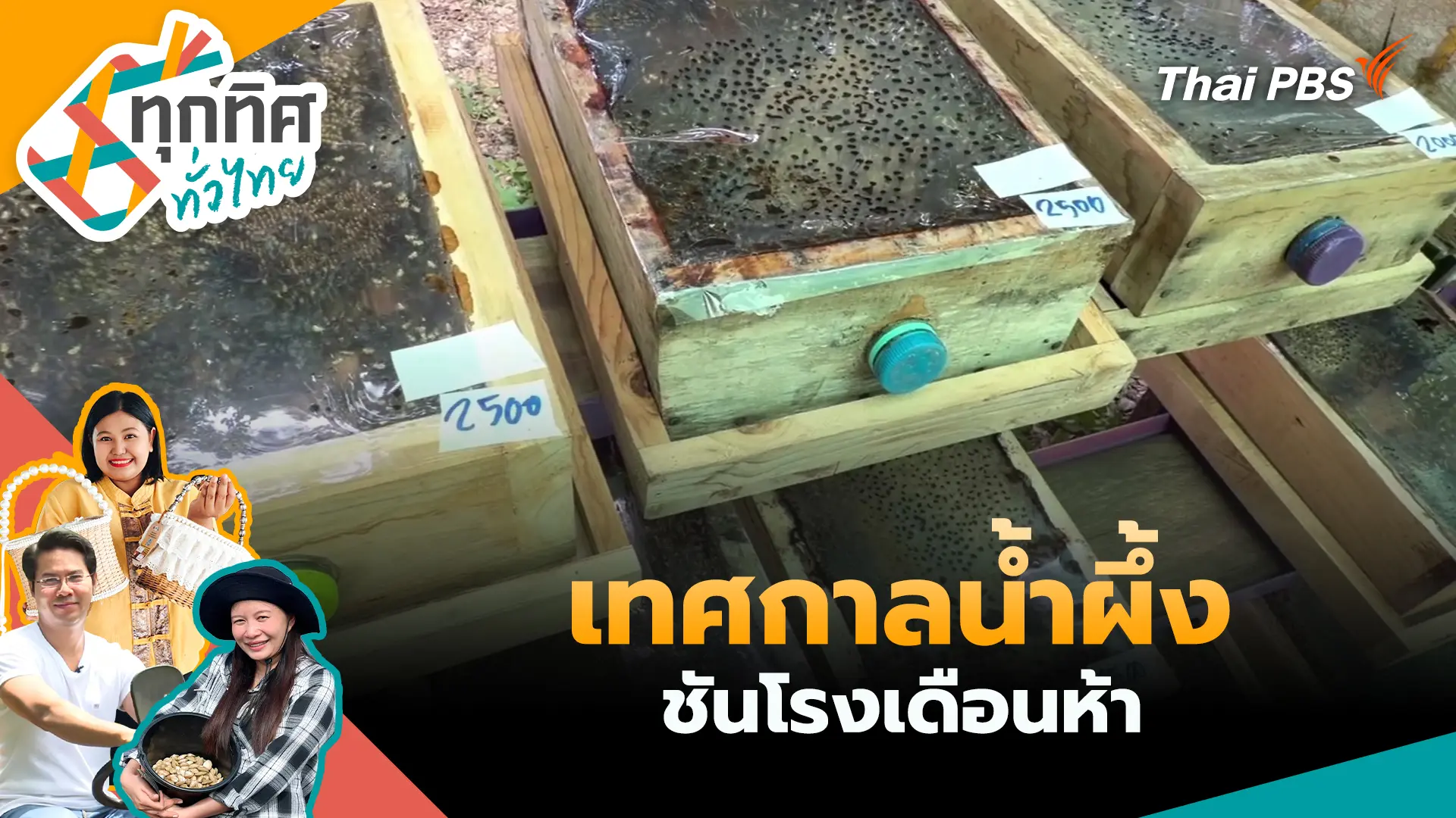 เทศกาลน้ำผึ้งชันโรงเดือนห้า