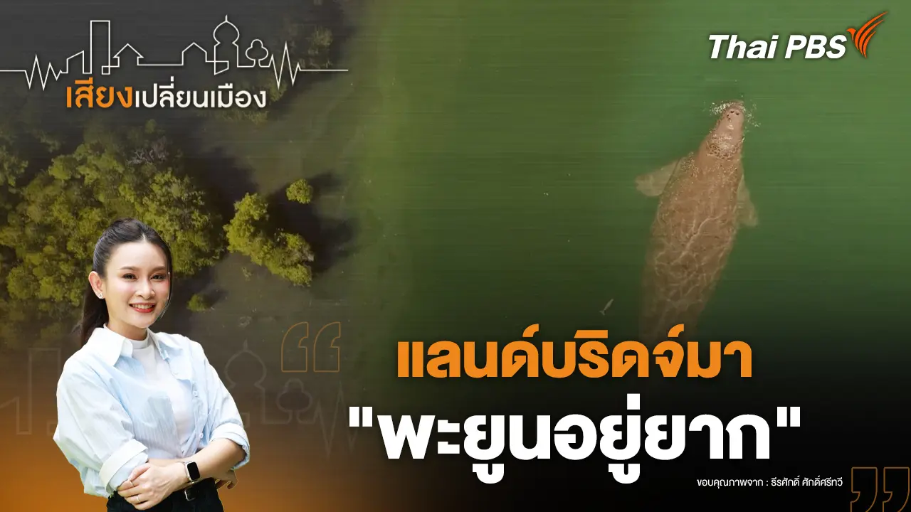 แลนด์บริดจ์มา "พะยูนอยู่ยาก"