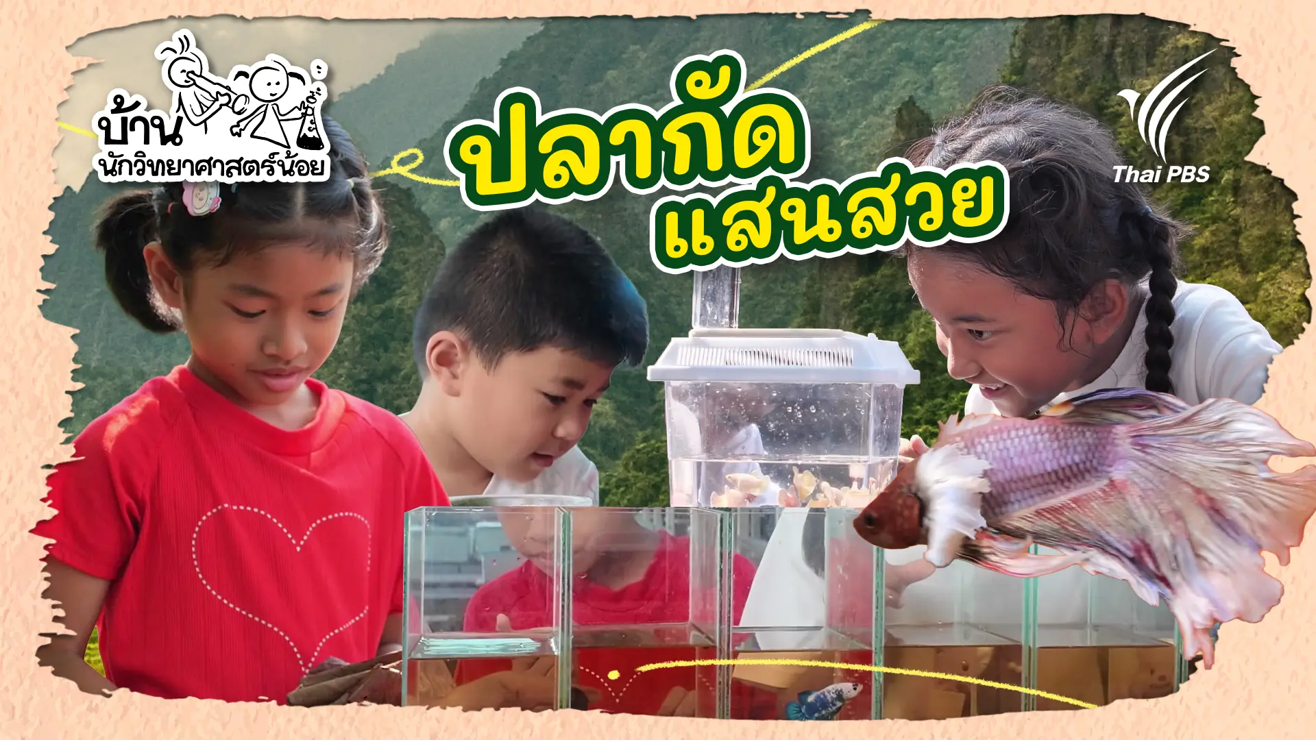 ปลากัดแสนสวย