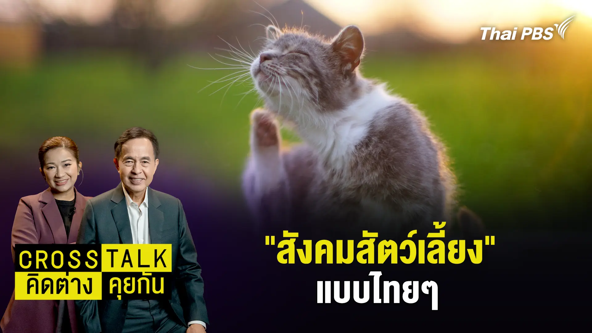 "สังคมสัตว์เลี้ยง" แบบไทยๆ