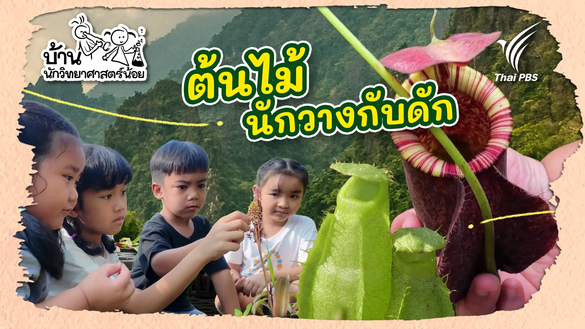 ต้นไม้นักวางกับดัก