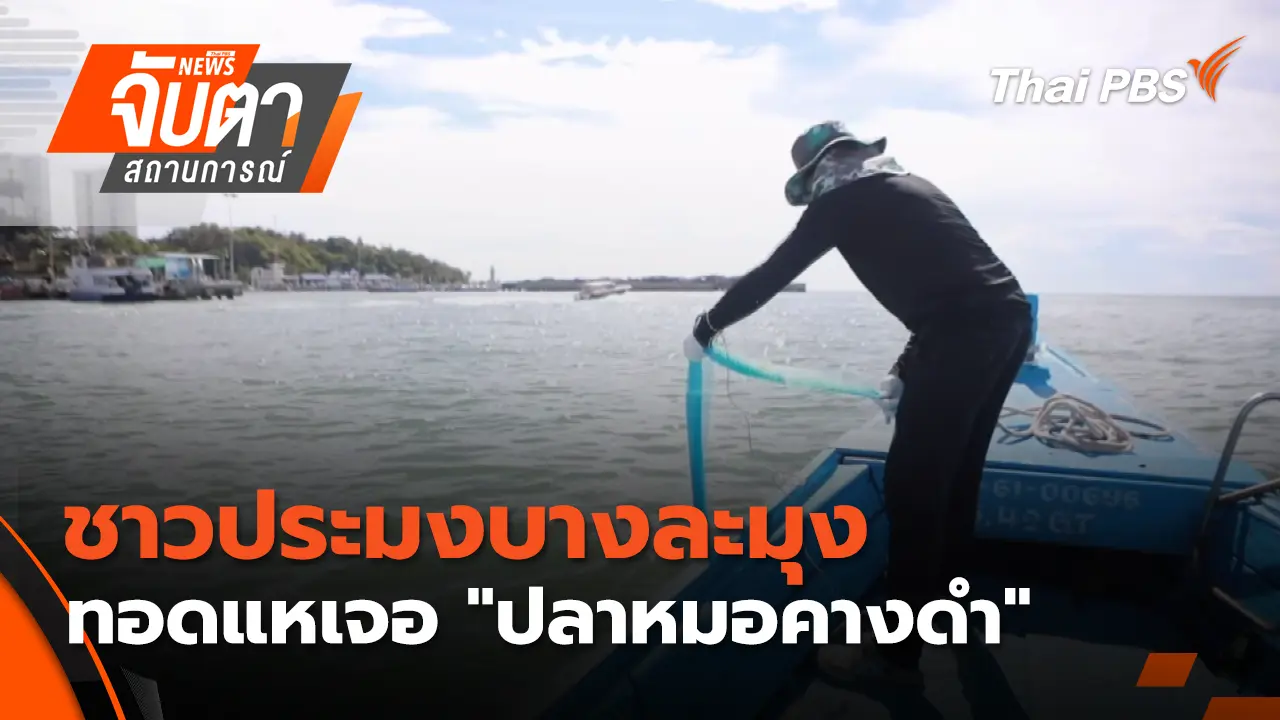 ชาวประมงบางละมุง ทอดแหเจอ "ปลาหมอคางดำ"
