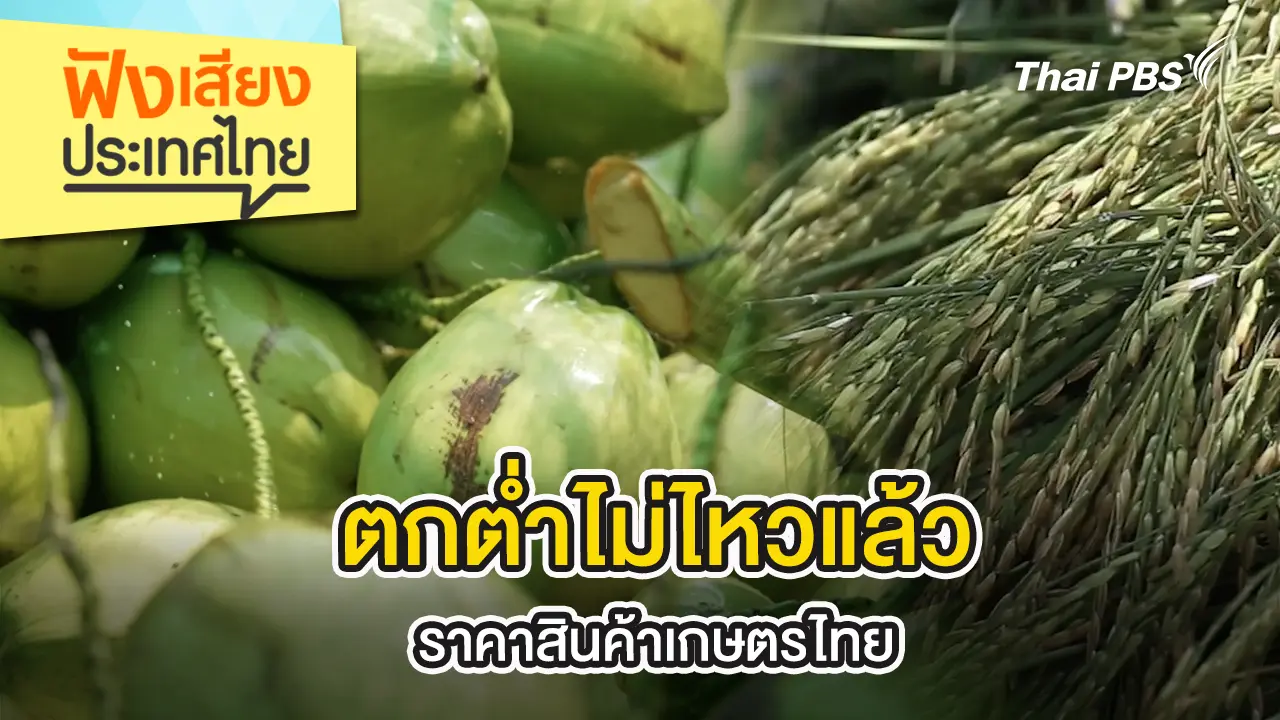 ตกต่ำไม่ไหวแล้ว ราคาสินค้าเกษตรไทย