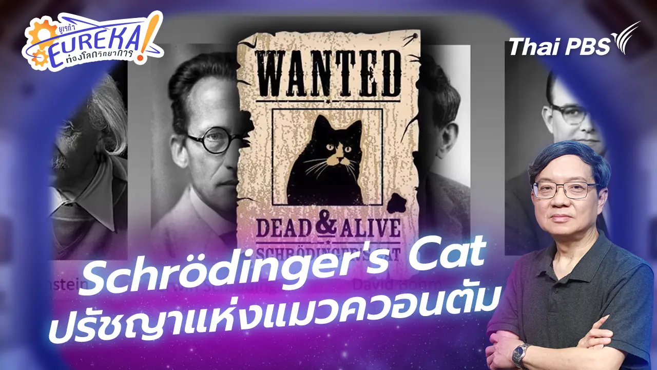 Schrödinger's Cat ปรัชญาแห่งแมวควอนตัม